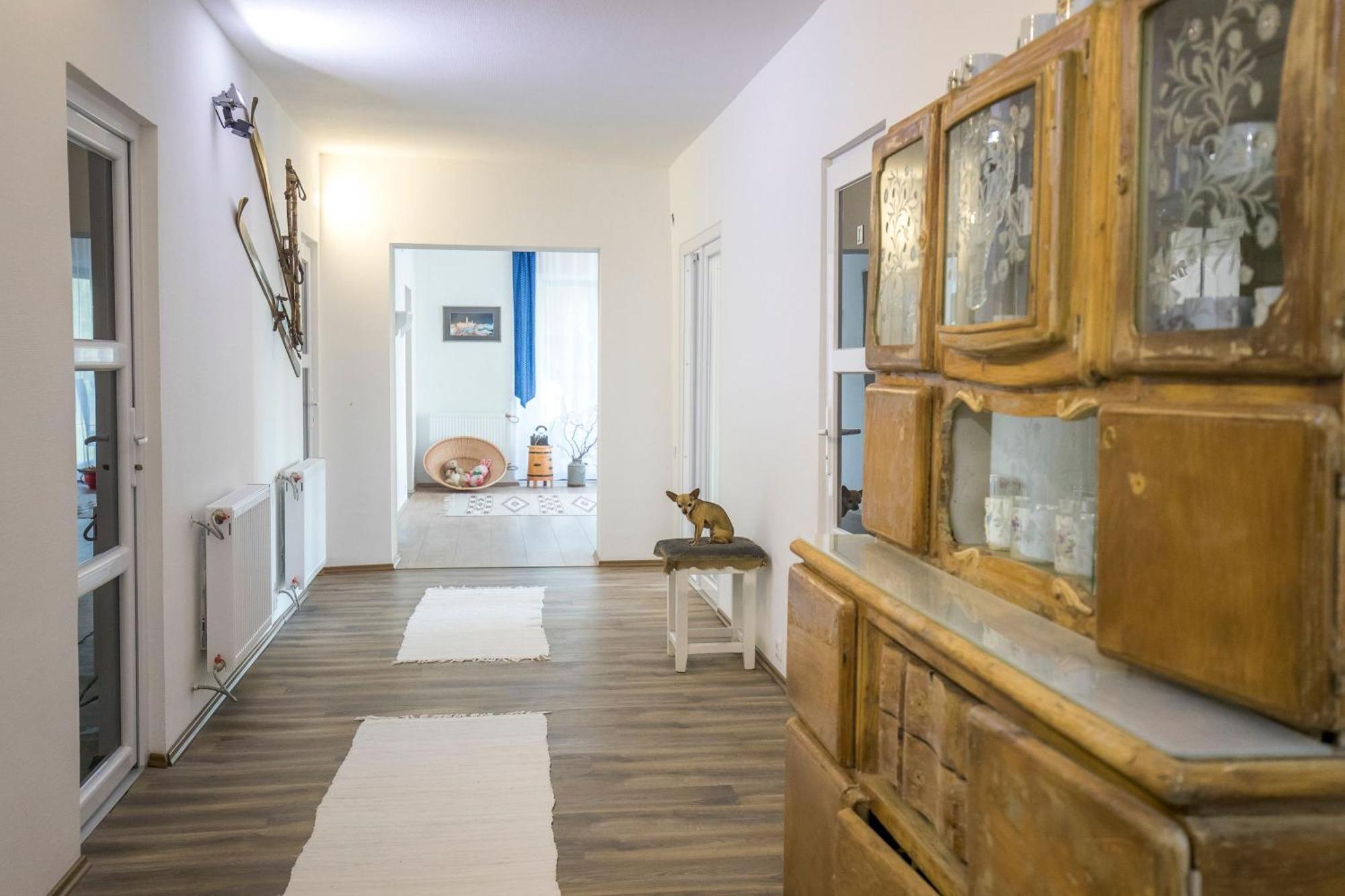 Villa Vamus Vendeg- Es Rendezvenyhaz Vámosszabadi Dış mekan fotoğraf